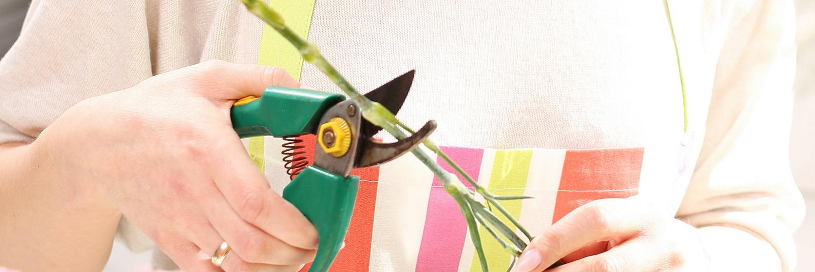 cutting-stems