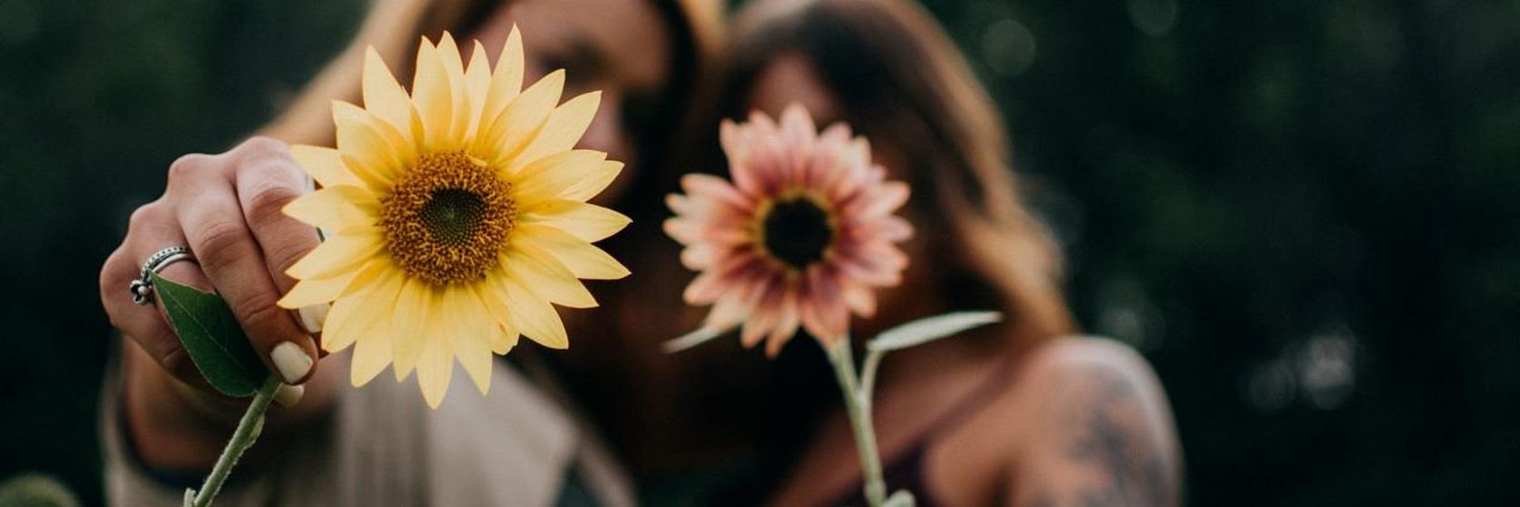 Meaning of flowers2