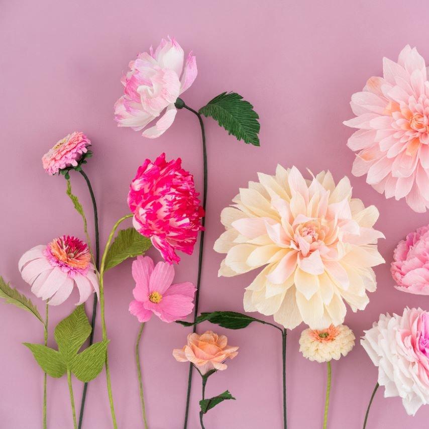 Paper flowers 2